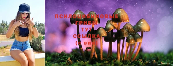 MESCALINE Няндома