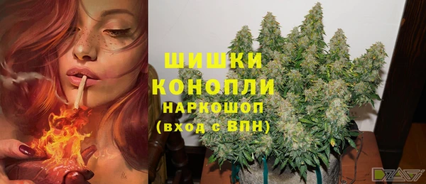 MESCALINE Няндома