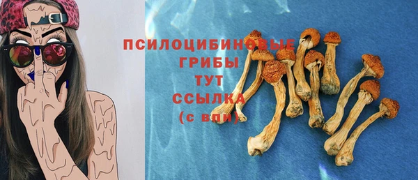 MESCALINE Няндома