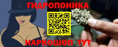 прущие крисы Абакан