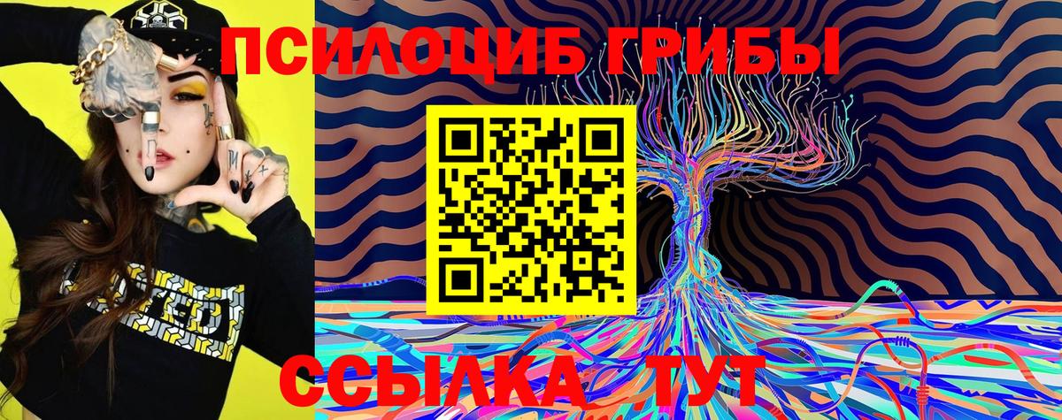 Псилоцибиновые грибы ЛСД Качканар