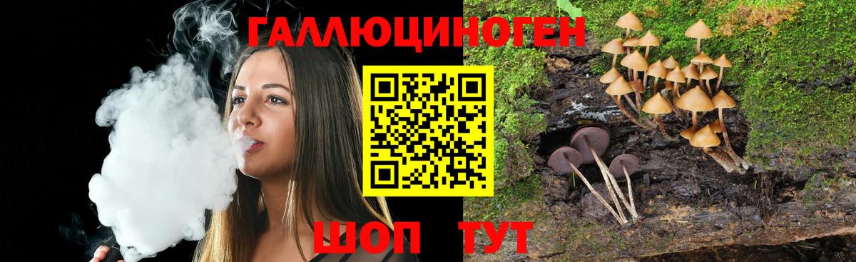 Псилоцибиновые грибы GOLDEN TEACHER  Галлюциногенные грибы Magic Shrooms  Качканар 